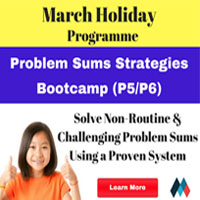 Maths Accelerator