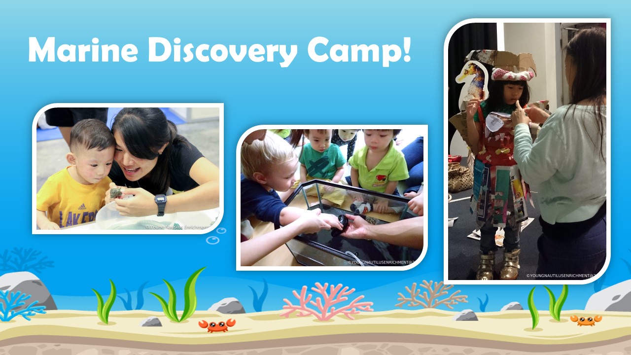 MarineDiscoveryCamp_Image