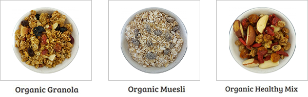 nuts2-organic-plus-healthy-mix