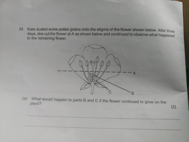 P6 Science Sun, 06/09/2020 510pm KiasuParents
